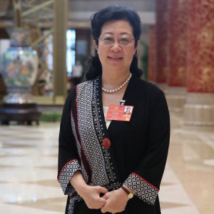 民法典，将给我们带来什么？——访十三届全国人大代表、北京市人大常委会副主任闫傲霜