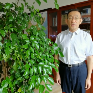 高吉喜
