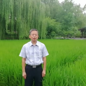 王洪波
