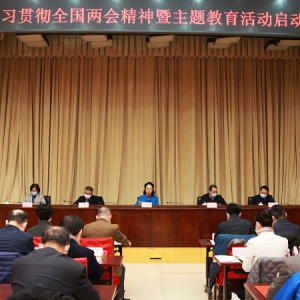 致公党北京市委召开学习贯彻全国“两会”精神暨中共党史学习教育活动动员部署会议