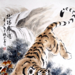 姚少华：龙腾虎跃