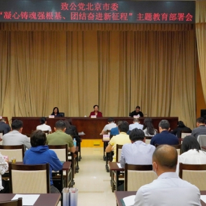 致公党北京市委召开“凝心铸魂强根基、团结奋进新征程”主题教育部署会