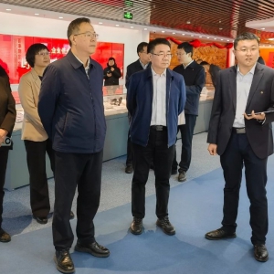 张恩迪赴致公党中交集团支部调研