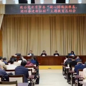 致公党北京市委召开“凝心铸魂强根基、团结奋进新征程”主题教育总结会