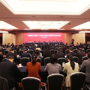 致公党十六届四中全会在京开幕