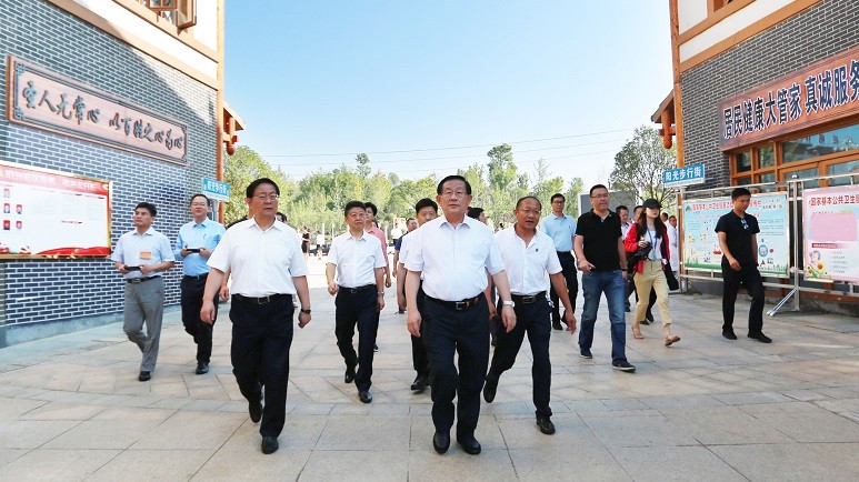 20190817万钢主席考察致公党北京市委帮扶毕节市七星关区朱昌镇民居建设项目_副本.jpg