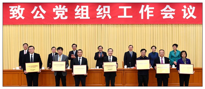 许槟作为优秀致公党员代表领取证书_副本.jpg