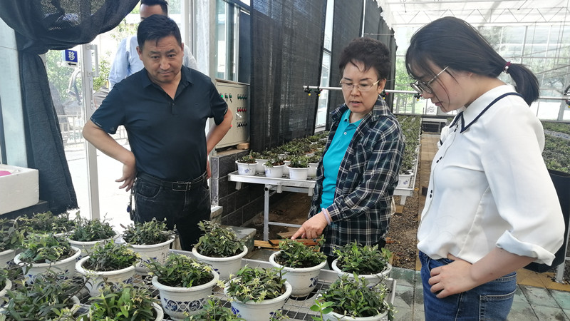 20210518致公党北京市委组织党员专家赴门头沟台上村开展中药种植帮扶_副本.jpg