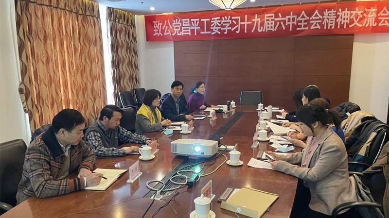 202112204致公党昌平区工委举办学习贯彻中共十九届六中全会精神专题交流会_副本.jpg