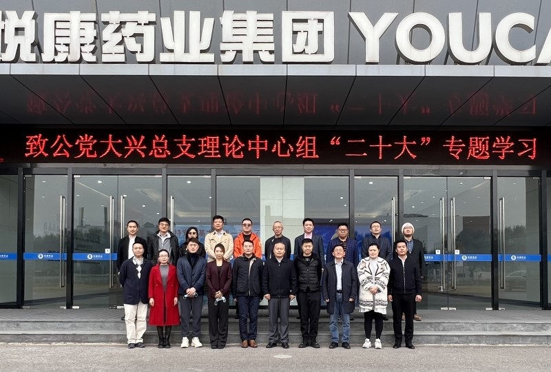 致公党大兴区总支部理论学习中心组召开学习中共二十大精神专题会-2.jpg