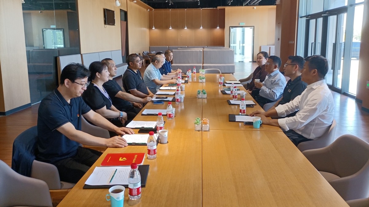 20230629致公党北京市委机关中共党支部赴大兴机场临空区综合展示中心开展主题党日活动4_副本_副本.jpg