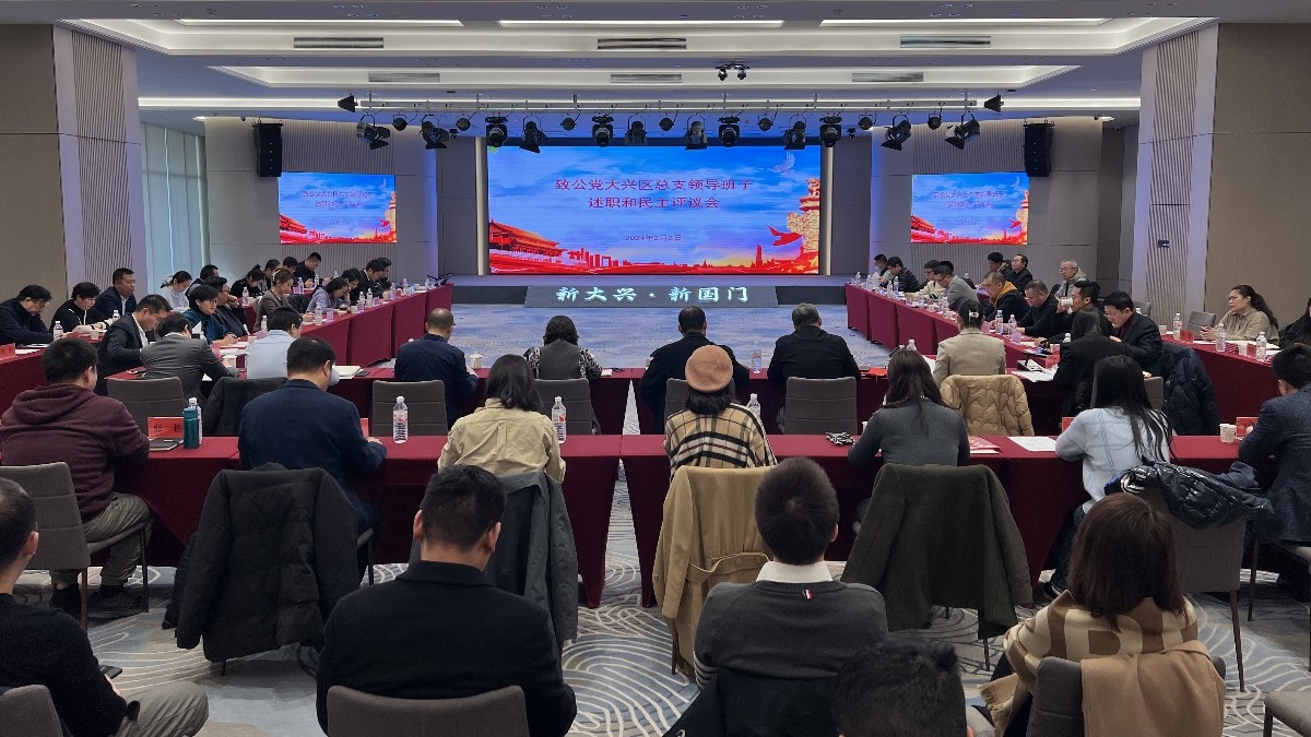 20240302致公党大兴区总支部召开领导班子述职民主评议会和民主生活会1_1200.jpg