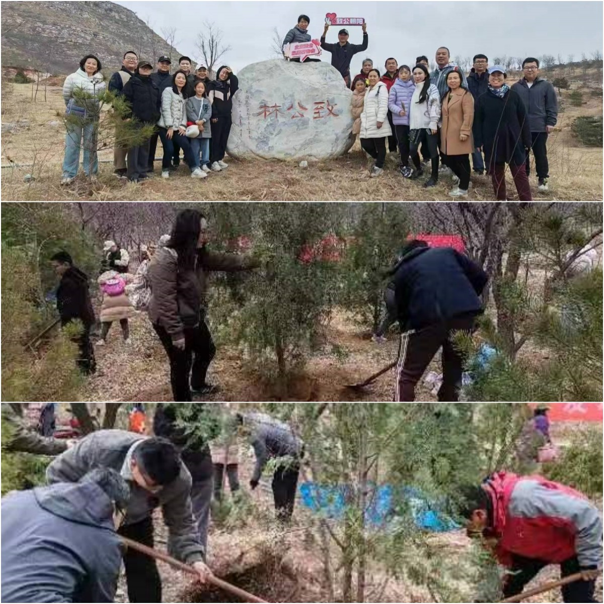 20240324北京致公志愿者协会、致公党朝阳区委志愿服务队与房山区支部开展义务植树活动2-1200.jpg