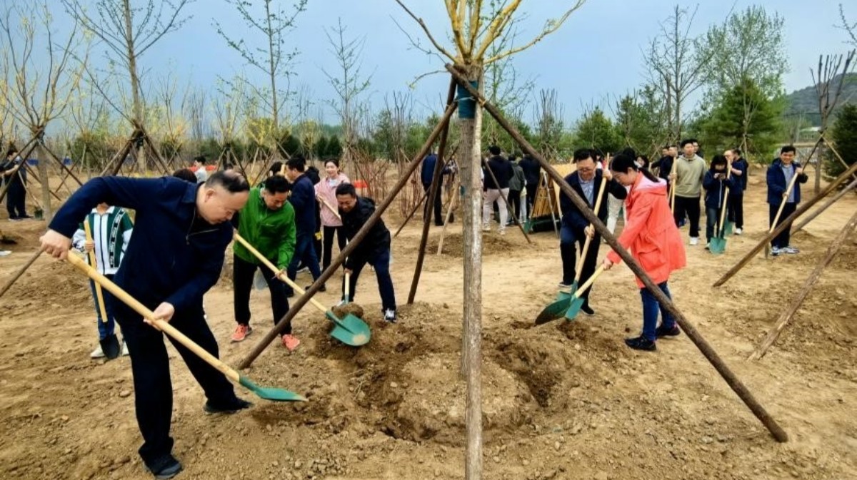 20240414致公党中央青工委、北京市委青工委与通州区工委联合开展义务植树活动2_1200.jpg
